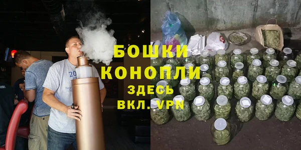 дмт Лагань
