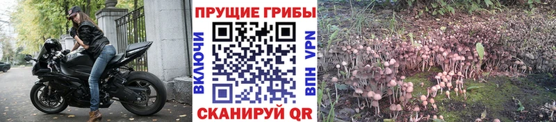 Псилоцибиновые грибы мухоморы  наркотики  Называевск 